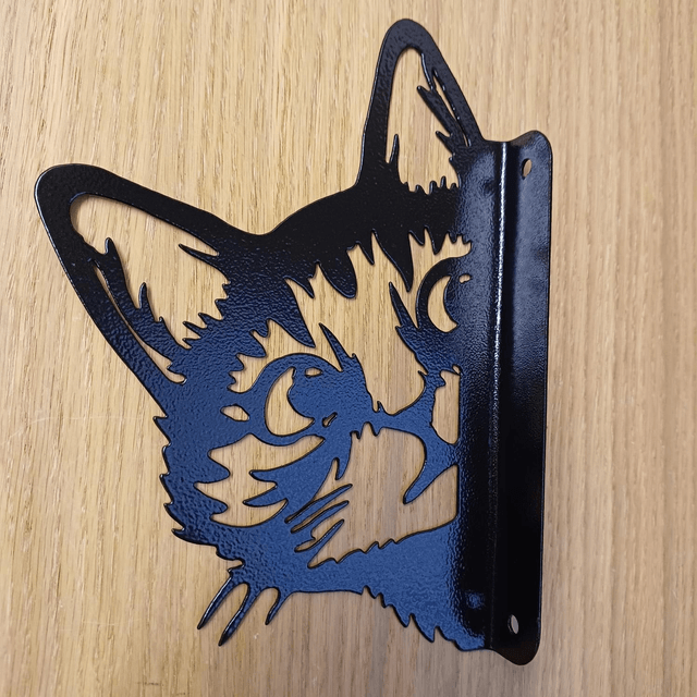 Peeking Cat