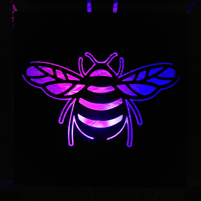 Bee Lightbox