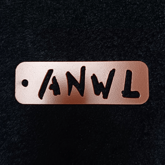 Anti-Nowhere League Keyring