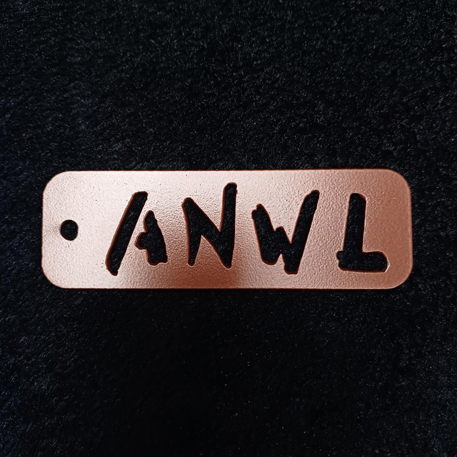Anti-Nowhere League Keyring