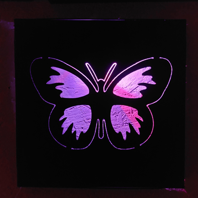 Butterfly Lightbox 