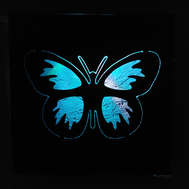 Butterfly Lightbox 