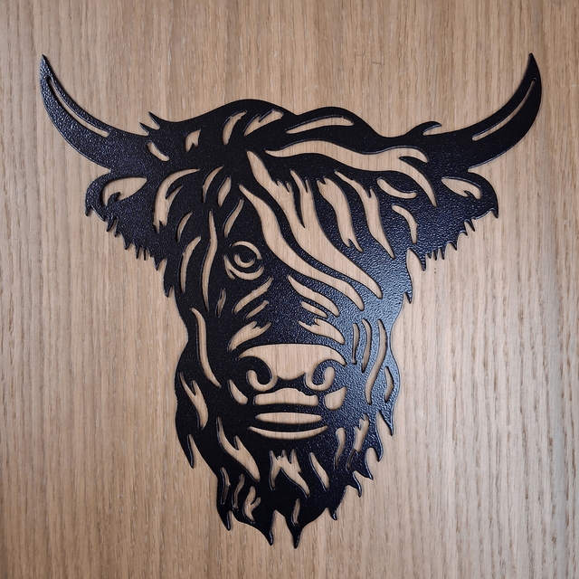 Highland Cow