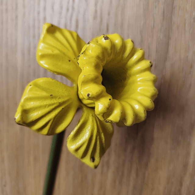 DAMAGED & DISCOUNTED Daffodil Garden Stake 