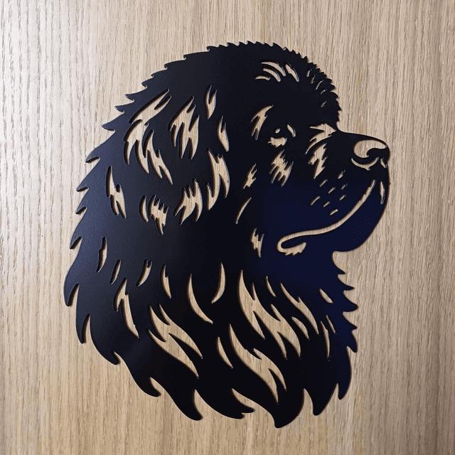 Steel Newfoundland
