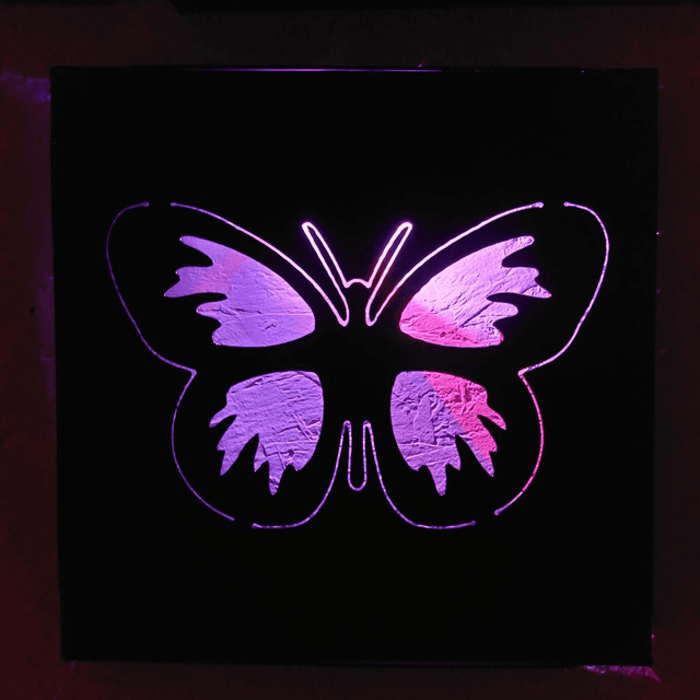 Butterfly Lightbox 