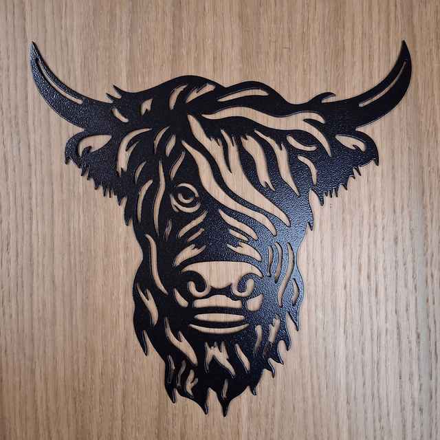 Highland Cow