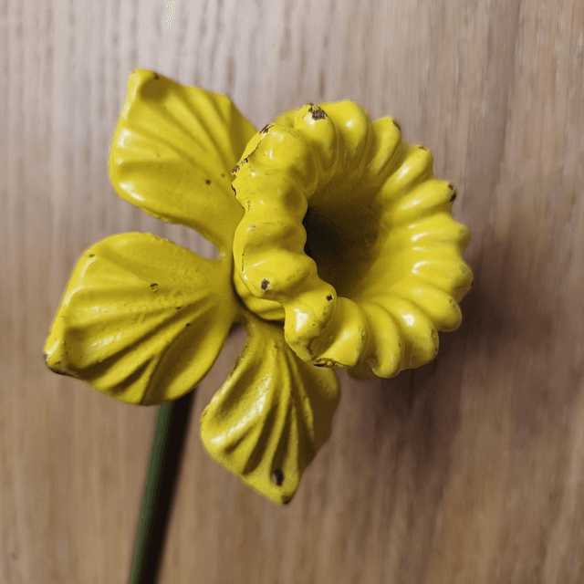 DAMAGED &amp; DISCOUNTED Daffodil Garden Stake 